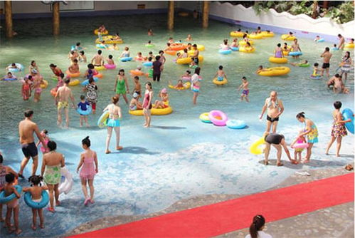 鼓風造浪設(shè)備誠信商家 天新游藝品類齊全