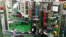 松可食品自動包裝機械 人工投料包裝機 廠家直銷正品批發(fā)