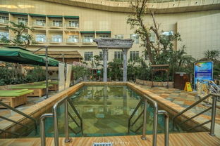 吹著海風，泡著溫泉，這個夏天有點不一樣 人工造浪設備的奇妙體驗